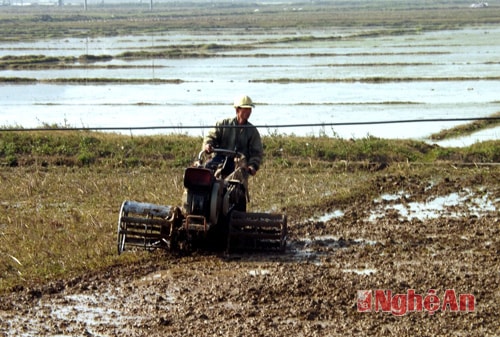 Người dân đang tiến hành làm đất để phục vụ cho vụ sản xuất năm 2014