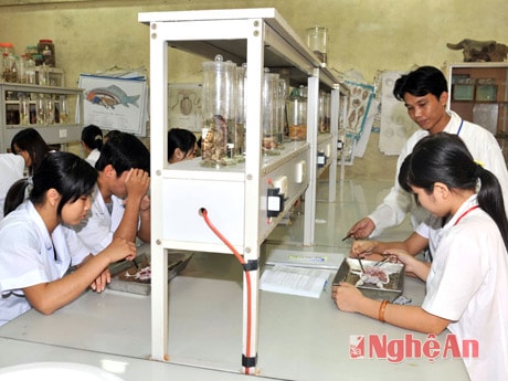 Giờ hóa thí nghiệm của sinh viên khoa Hóa Trường ĐH Vinh. Ảnh: Sỹ Minh