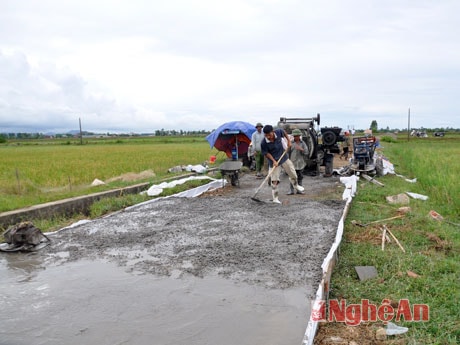 Làm đường giao thông nông thôn tại xã Hưng Hòa, Thành phố Vinh.