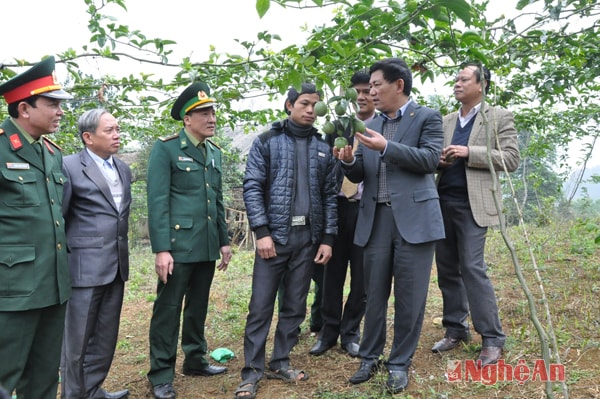 Thăm mô ình chanh leo cho hiệu quả kinh tế cao bản Yên Sơn