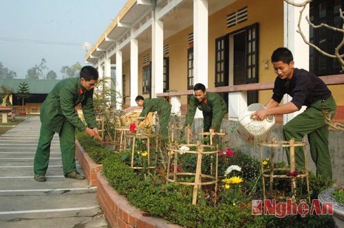 Chăm sóc cảnh quan môi trường.