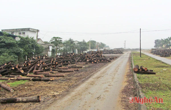 Nguyên liệu chất ngổn ngang trên đường vào cụm công nghiệp Hưng Lộc.