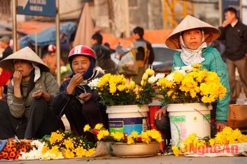 Trước chợ Vinh, những gánh hoa rực rỡ cũng được bày bán.