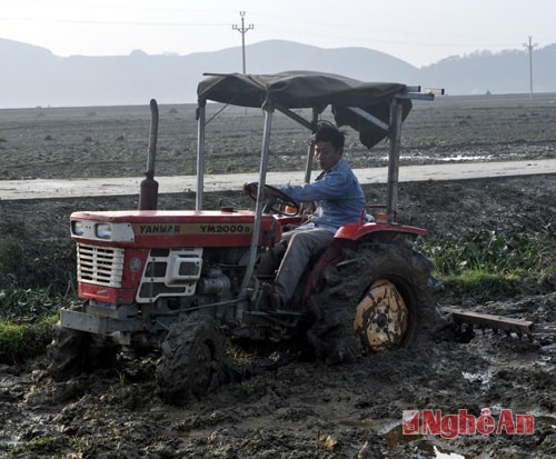 Anh Nguyễn Văn Lưu cày ruộng chuẩn bị cho mùa vụ mới.