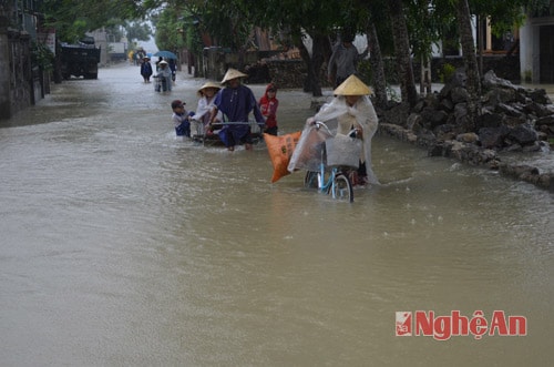 Mưa lũ gây ngập ở huyện Quỳnh Lưu.