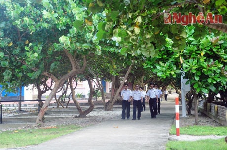 Sau những giờ làm nhiệm vụ là những phút tản bộ dưới tán cây bàng vuông, cây tra của bộ đội đảo Trường Sa
