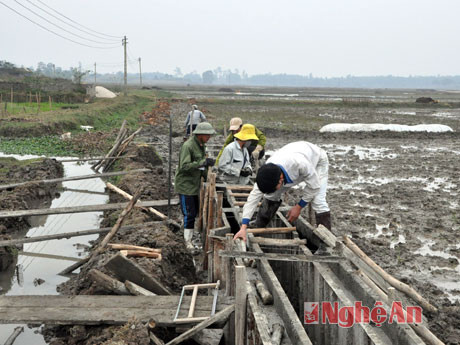 Xây dựng hệ thống kênh mương nội đồng tại xã Nghĩa Khánh (Nghĩa Đàn).