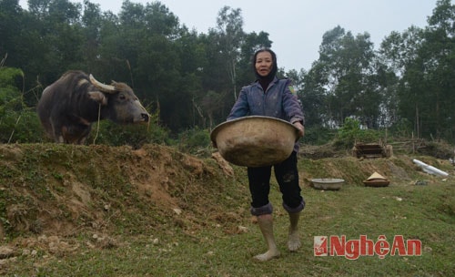 Nông dân hăm hở chuyển Tết ra đồng ruộng với ước mong mưa thuận, gió hòa, mùa màng bội thu.