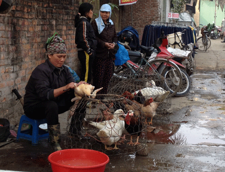 Cúm A/H5N1 đang quay trở lại, đe dọa sức khỏe người dân.