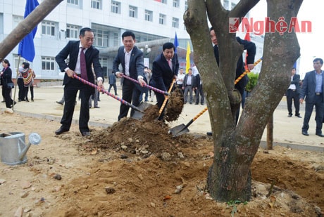Các đồng chí lãnh đạo tỉnh trồng cây tại khuôn viên bệnh viện đa khoa 700 giường