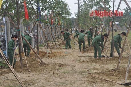 Công nhân Cty CP công viên cây xanh TP Vinh trồng cây đầu Xuân
