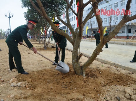 Cán bộ, chiến sỹ tỉnh đội tham gia trồng cây