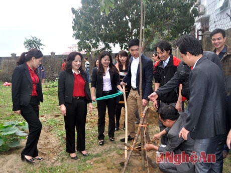 Cán bộ, nhân viên Phòng Thư ký tham gia trồng cây đầu Xuân