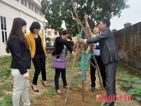 Cán bộ, phóng viên Phòng Kinh tế tham gia trồng cây đầu Xuân