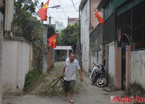 Một người dân phường Cửa Nam mang cành đào ra khỏi nhà vào chiều Mùng 8 Tết.