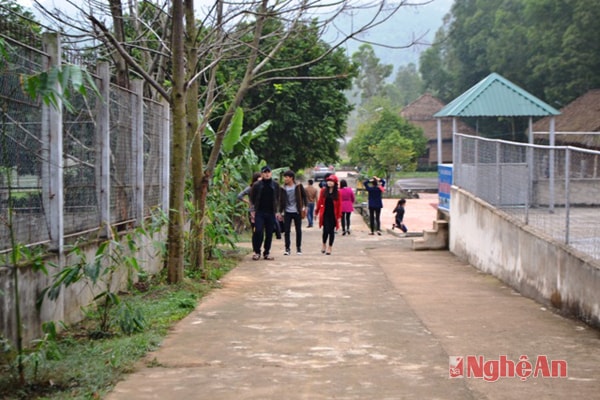 Khu sinh thái Trại Bò hút khách ngày đầu năm