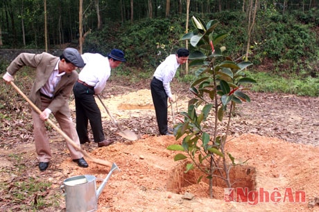 Lãnh đạo huyện Thanh Chương trồng cây tại Nghĩa trang liệt sỹ. Ảnh: Duy Hưng