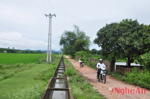 Hệ thống mương tưới tiêu và đường điện phục vụ sản xuất nông nghiệp ở xã Tân Phú-Tân Kỳ