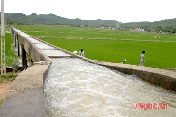 Trạm bơm xã Trung Thành (Yên Thành) cấp nước thâm canh lúa xuân. Ảnh: Hồ Các