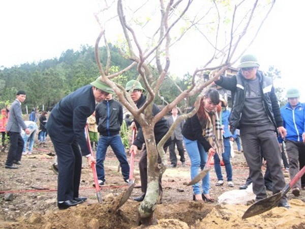 Các đoàn viên trồng mai vàng trước mộ Đại tướng Võ Nguyên Giáp. (Ảnh: Trang Trang/Vietnam+)