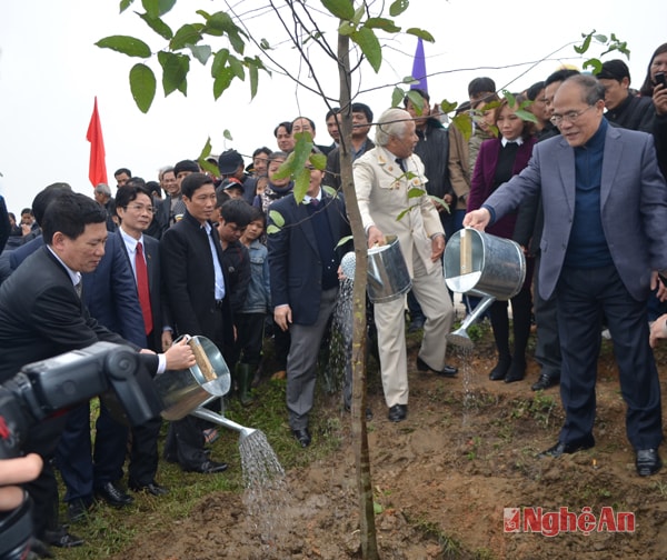 Đồng chí Nguyễn Sinh Hùng cùng các lãnh đạo tỉnh trồng cây sao đen.