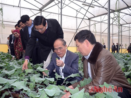 Đồng Chí Nguyễn Sinh Hùng và đoàn thăm hệ thống sản xuất rau sạch