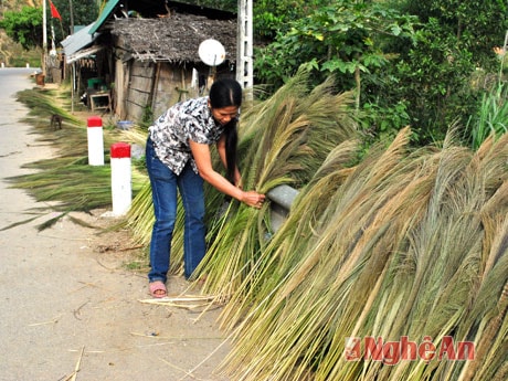 Phơi đót.