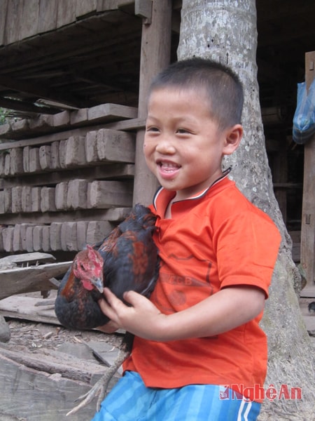 Cậu bé với  “chú” gà.