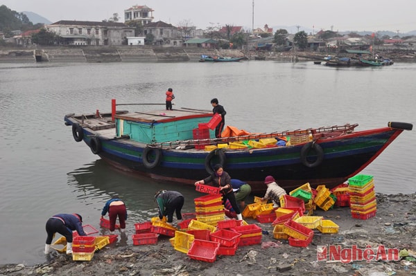 Nhờ phát triển nghề đánh bắt xa bở, ở Nghi Thủy có đội ngũ làm dịch hậu cần đáp ứng kịp thời cho việc kinh doanh hải sản, như tàu vận chuyển hàng hóa, buôn bán hải sản...