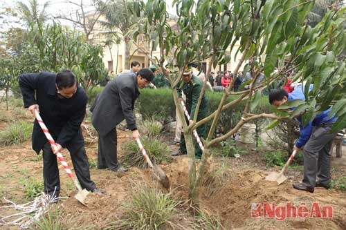 Các đồng chí trong ban lãnh đạo thị xã tham gia trồng cây