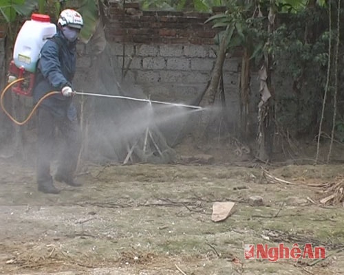 Trạm thú y Yên Thành cấp đủ hoá chất để tiêu độc, khử trùng tại vùng bùng phát ổ dịch.