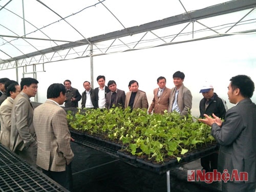  Đồng chí Đinh Viết Hồng – PCT UBND tỉnh thăm vườn ươm chanh leo