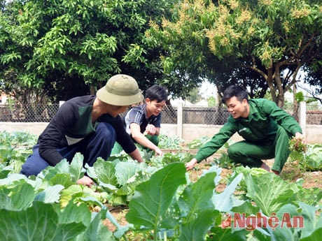 Chiến sỹ Đồn BP Quỳnh Thuận chăm sóc vườn rau, đảm bảo nguồn rau xanh phục vụ bộ đội.