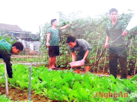 và tăng gia sản xuất.