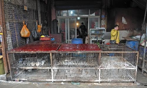 Hoạt động bán gia cầm sống ở Trung Quốc đã bị siết chặt (Nguồn: TTXVN)