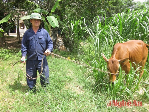 Anh Phạm Văn Trắng.