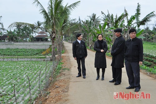 Ông Trần Văn Đích, Bí thư chi bộ xóm 1, xã Diễn Hải (người đội mũ) giới thiệu quá trình vận động nhân dân giải tỏa mở đường xóm.