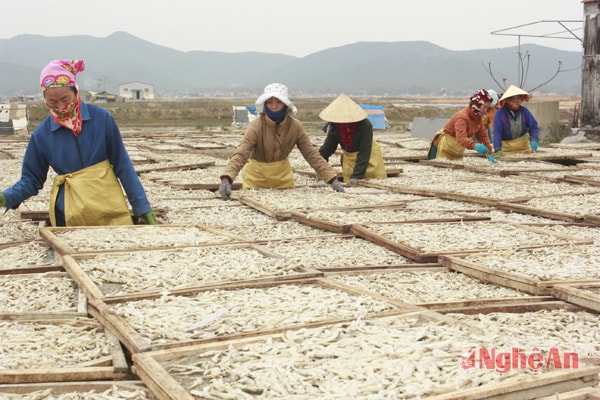 Lao động ở đây đa số là phụ nữ.