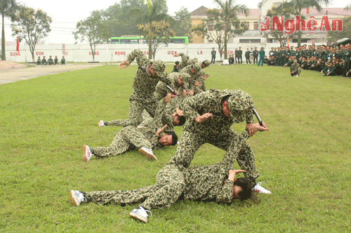 Lực lượng trinh sát biểu diễn võ thuật 