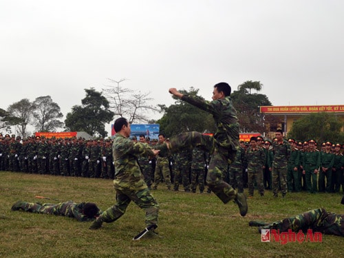 Màn biểu diễn võ thuật.