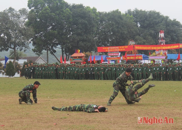 Trình diễn võ thuật trong ngày ra quân huấn luyện 2014