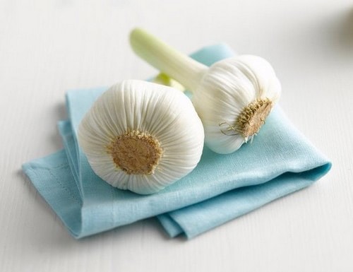 Thay vì sử dụng các loại kem chống lão hóa đắt tiền, bạn hãy thử sử dụng tỏi để làm giảm nếp nhăn (Ảnh: Internet)