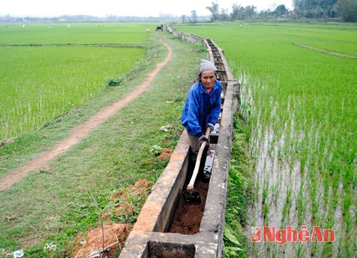 Tuyến mương ở Nghĩa Long (Nghĩa Đàn) đã khô nước.