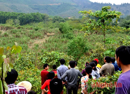 Người dân tập trung tại khu vực voi kéo về.