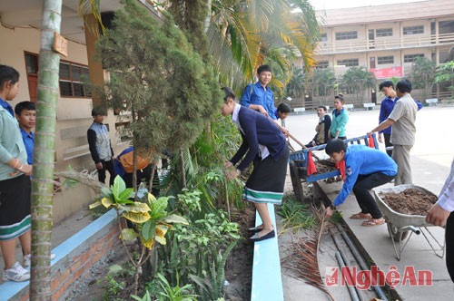 Học sinh trường Nguyễn Du chăm sóc khuôn viên cây xanh