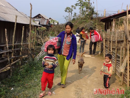 Đem gối cho nàng dâu tại một đám cưới ở Lượng Minh (Tương Dương).