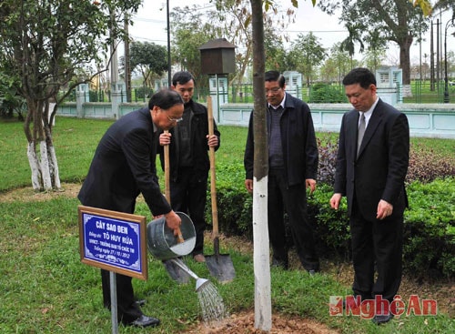 Chăm sóc cây do đồng chí Tô Huy Rứa trồng tại khu di tích Kim Liên năm 2012