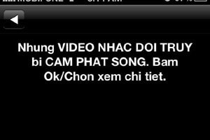 Một dạng tin nhắn Flash mà thuê bao nhận được. (Ảnh: Vietnam+)