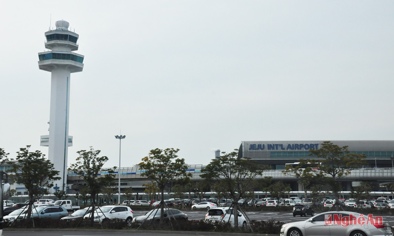 Phương tiện giao thông trên đảo Jeju rất thuận lợi cho du khách đi lại.