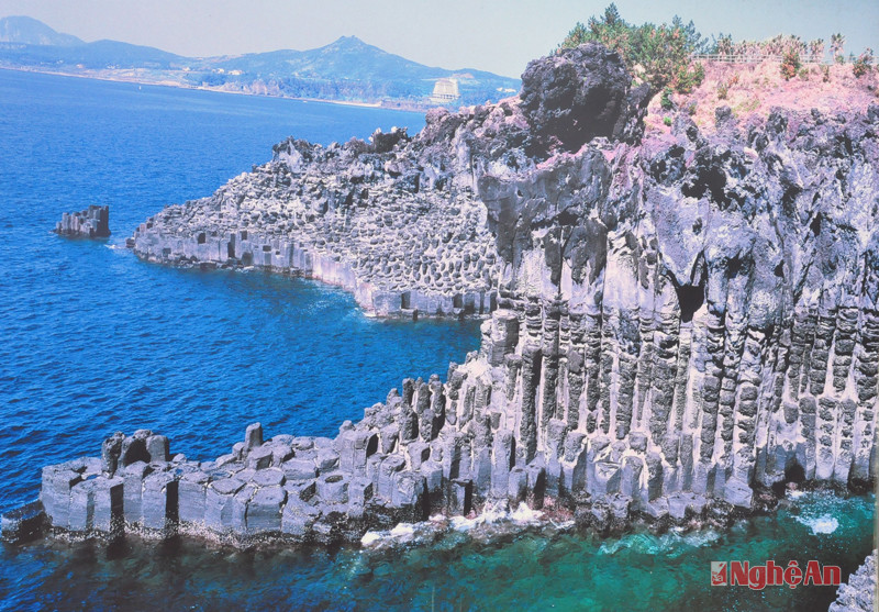 Đảo Jeju có nhiều cảnh quan thiên tạo hấp dẫn như bãi cột đá Jusang Jeongli...